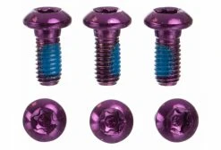 Vis De Disque Neatt Inox M5x10 Mm Violet (x6)